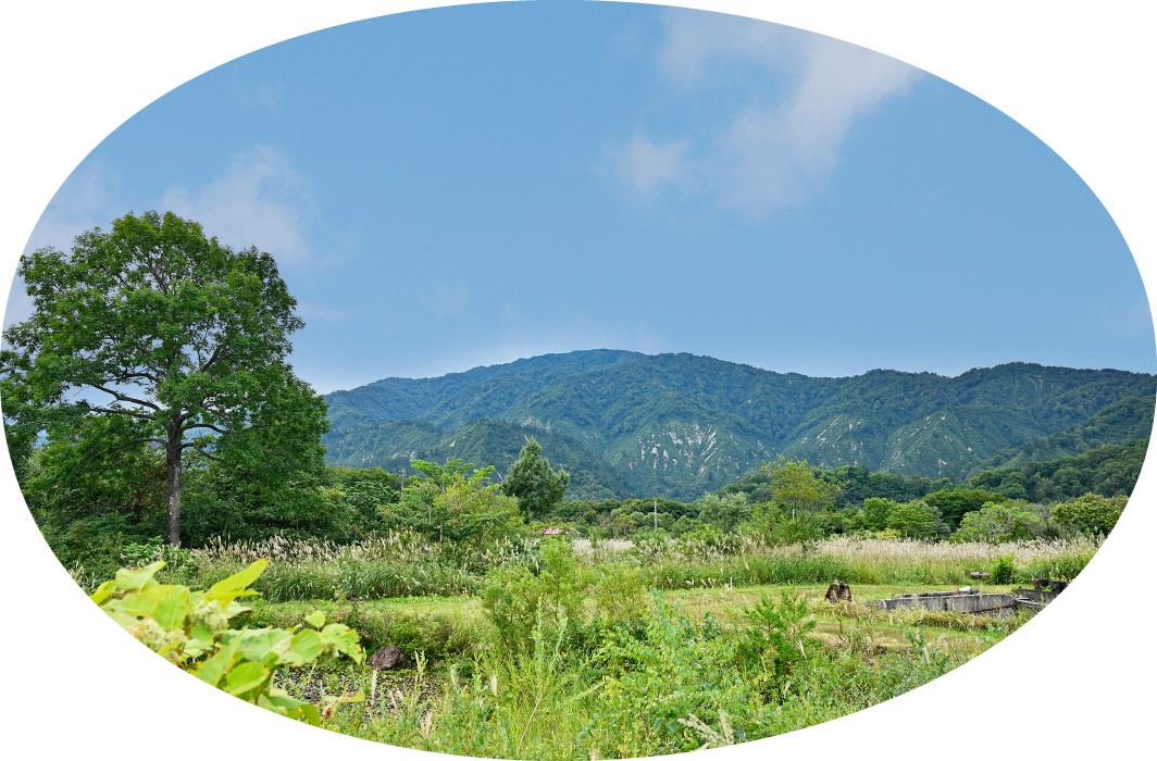 山形の味をお届けします|月山トラヤワイナリー